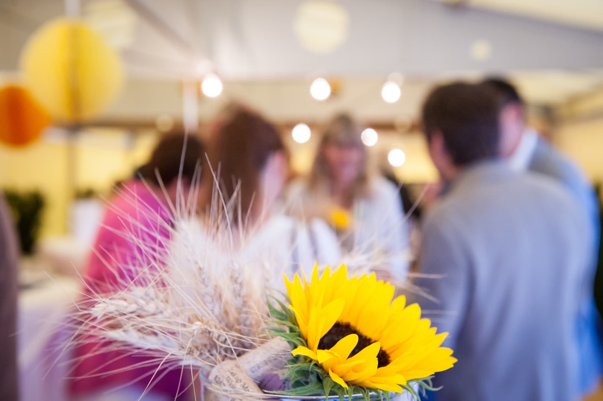 Gäste im Gespräch an einem Vereinsfest, im Vordergrund eine Sonnenblume
