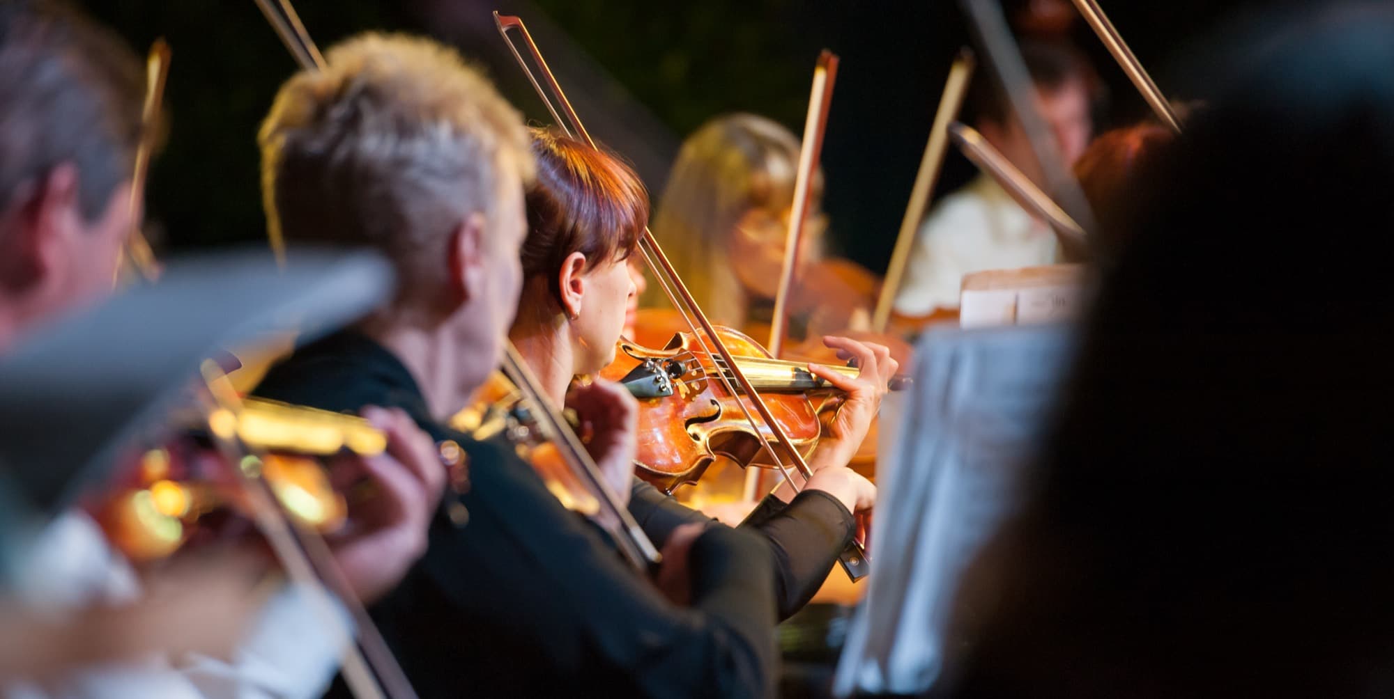 Streicherinnen und Streicher eines Orchesters beim Konzert